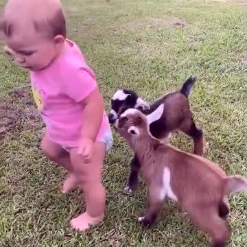 CUTE AND FUNNY ANIMALS - HAPPY CHILD