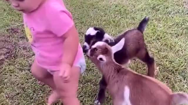 CUTE AND FUNNY ANIMALS - HAPPY CHILD