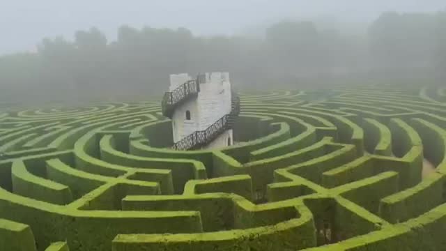 Big Green Maze In Tentegorra. | Interesting Facts #Shorts #topchannel