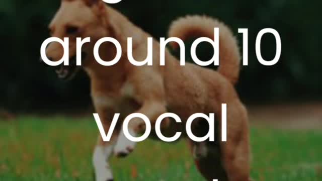 Facts of animals