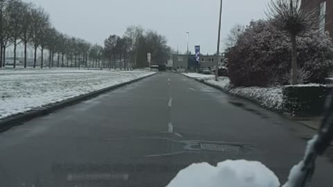 Summer snow in the netherlands