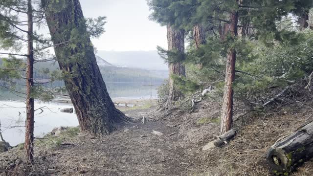 Circumnavigating Suttle Lake – Central Oregon – 4K