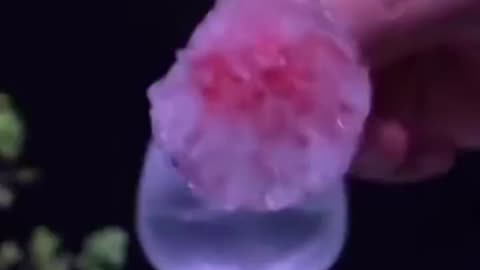 Science Stuff
