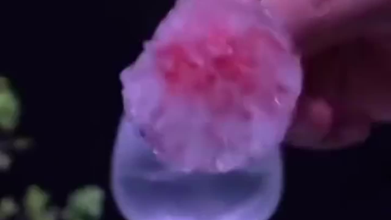 Science Stuff
