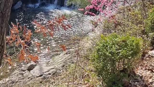 Gwanaksan Mountain in Seoul 2