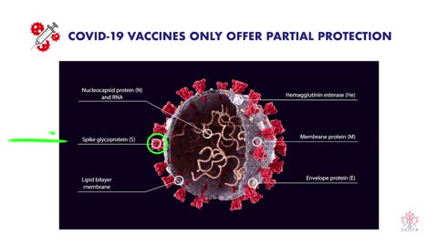 Research shows natural immunity to be far greater defense against Sars-CoV-2.