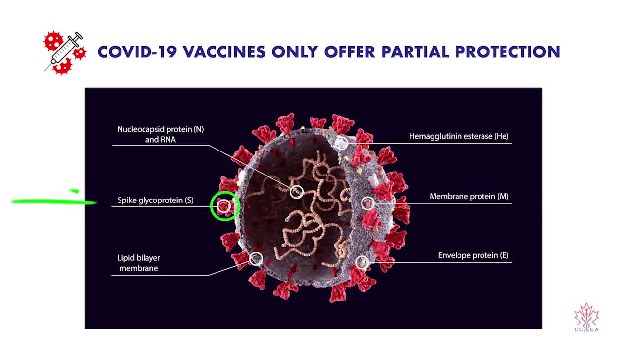 Research shows natural immunity to be far greater defense against Sars-CoV-2.