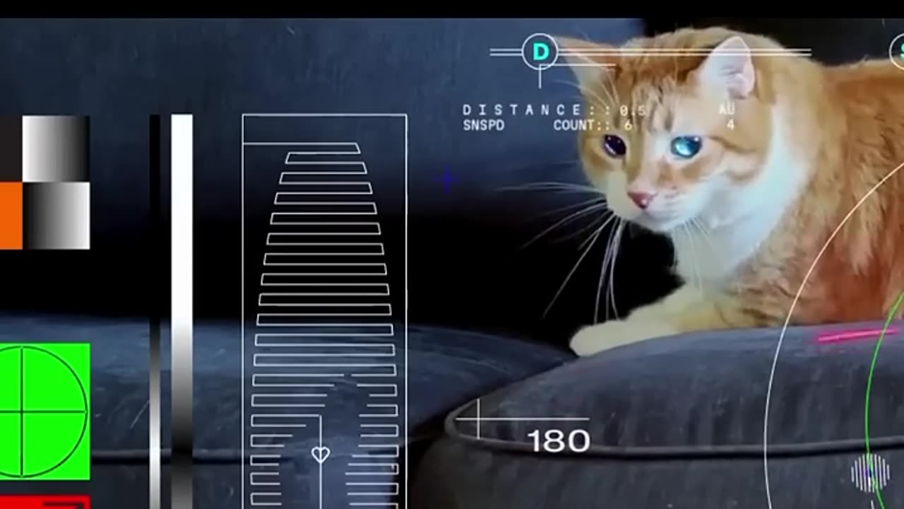 NASA Tech Demo Streams Cat Video From Deep Space Via Lase