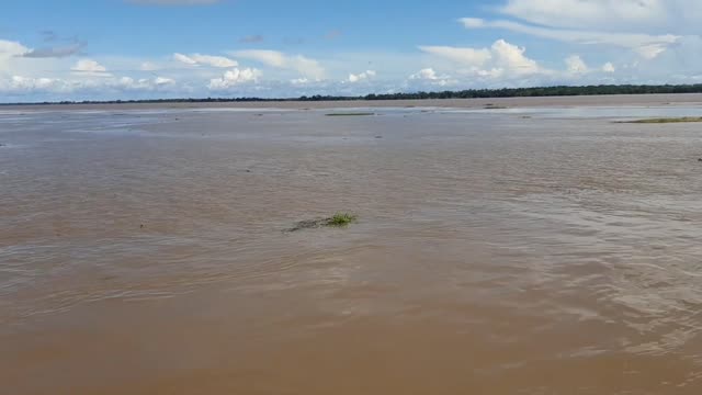 Fenômeno Amazônico Remanso