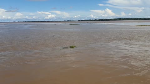 Fenômeno Amazônico Remanso