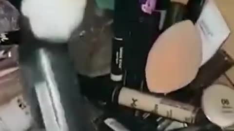 Try not to laugh funny animals #shorts
