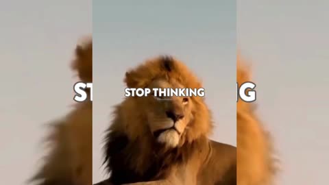Sigma rule 😎🔥 I WhatsApp status I Motivational quotes #shorts #attitude #sigmarule