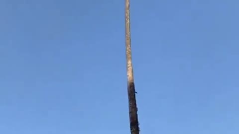 Watch it till the end 🌴🥥🏝