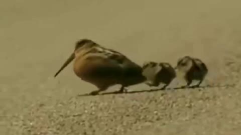 Epic dance by mom and kids