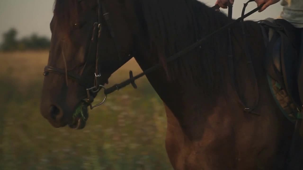 Girl is riding a horse