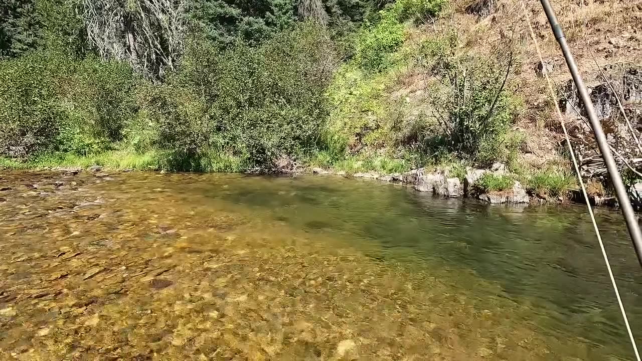 Need more of this in my life for sure!