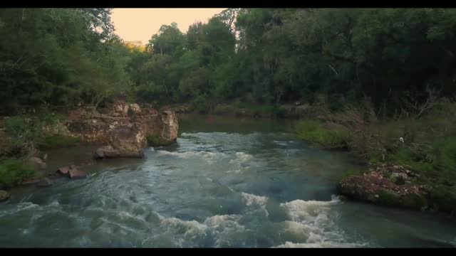 Guy captures the moment just before river meets to another river in forest