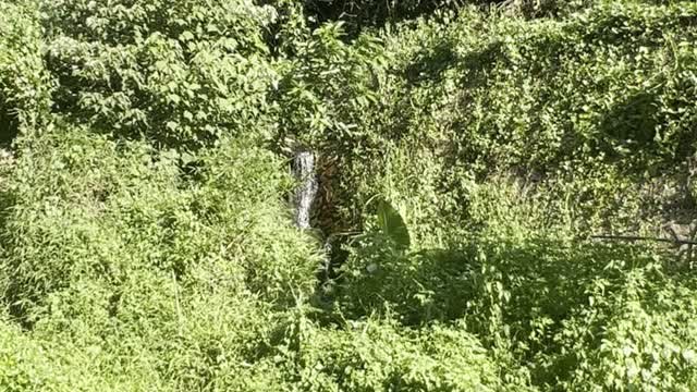 The mountain spring water is very clear during the outdoor journey, and the mood has improved