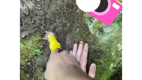 O tesouro escondido