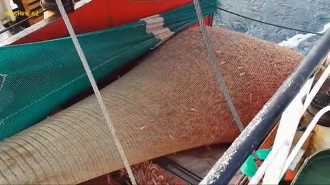 Amazing Shrimp Fishing You Won't Believe That How Many Shrimp Fast Shrimp Processing Machine