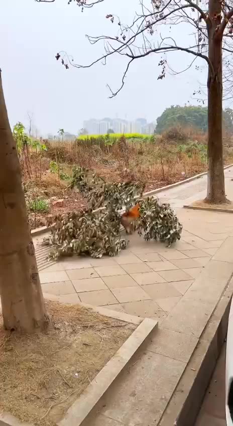 When you go to the store for a small thing