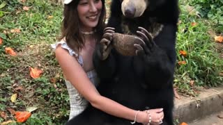 Bear Sits on Lady's Lap for a Snack