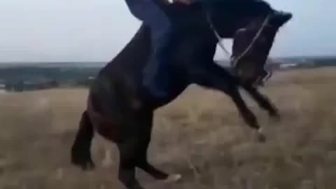 Horse threw his rider