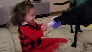 Puppy Toddler Tug of War