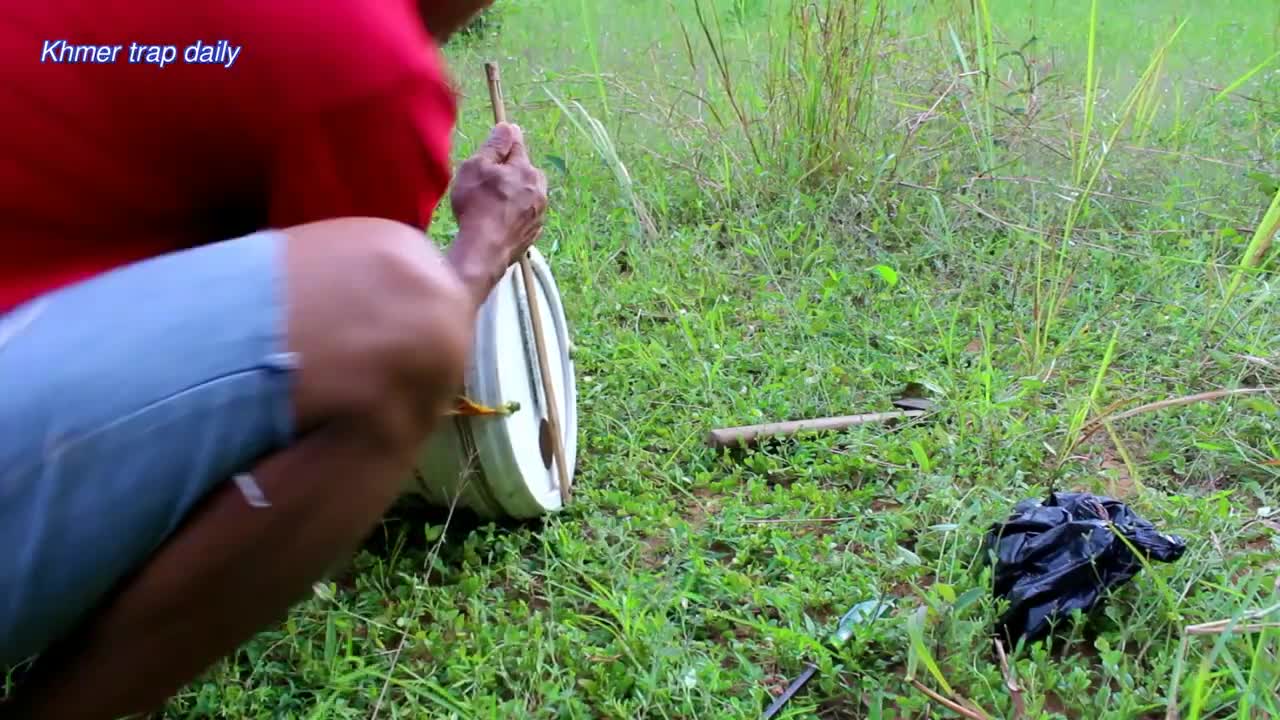 Simple Hack wild cat trap-using plastic container