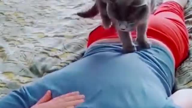 Best Funny Cats and Dogs πΆπ±