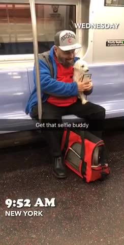 Man red shirt blue sweater white dog in hand