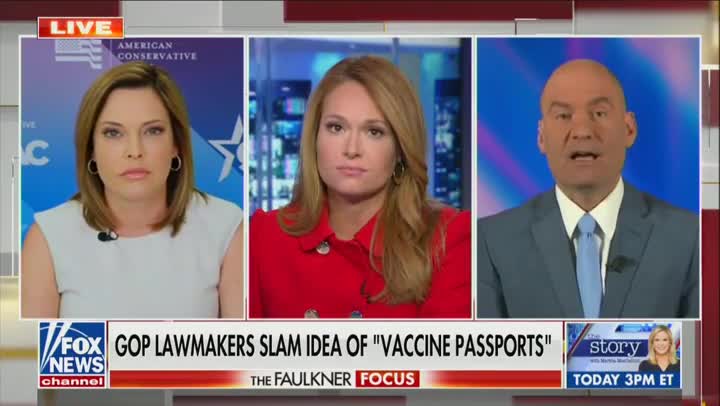 Mercedes Schlapp And Chris Hahn Debate COVID Passports