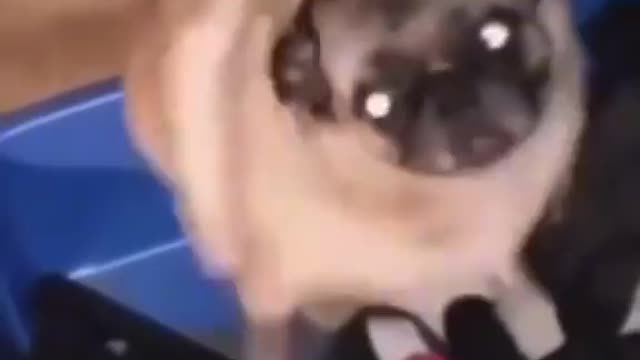 wow