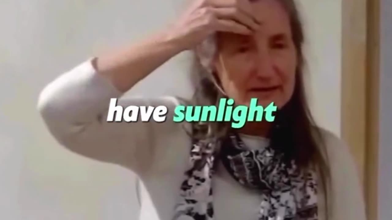 Blue Light is Day Light