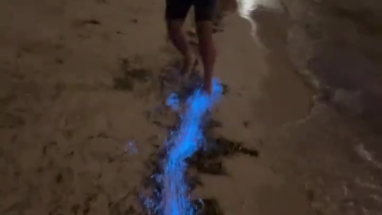 Bioluminescent Plankton Glow on Beach in the Maldives #adventure #nature