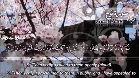 71.SURAH 071 NOOH RECITATION BY SHEIKH MAHER AL MUAIQLY .mp4