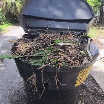Patriots Cleanup Their Neighborhood in FL PT. 2
