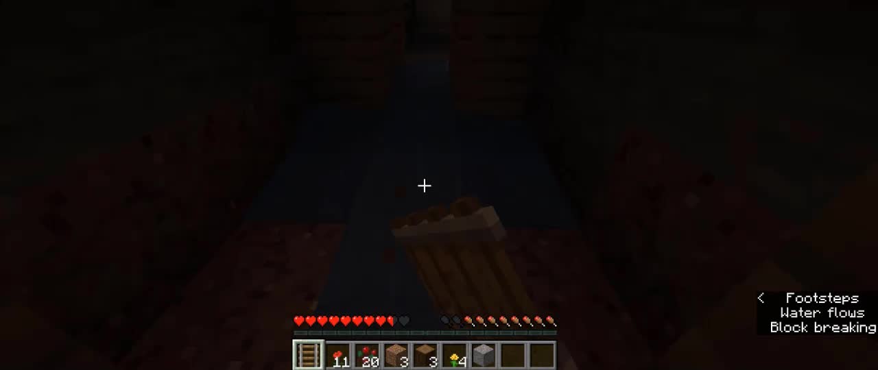 minecrafttiktokhacks_minecrafthacks_minecrafttiktok_shortsminecraft_1 (27)