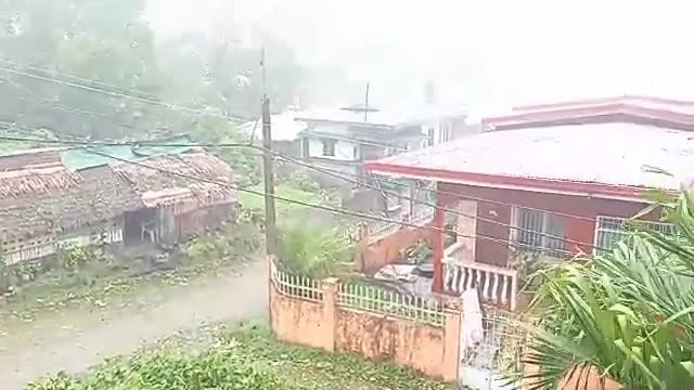 GUSTINESS OF TYPHOON