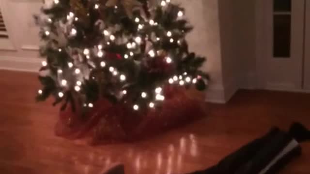 Slowmo ripstick kid on wooden floor falls in front of christmas tree