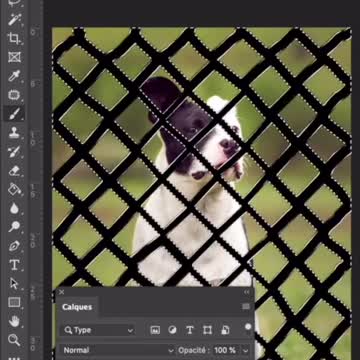 How to remove fences in Photoshop | Learn Photoshop