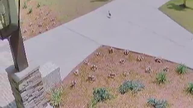 If my delivery guy ain’t this funny, I don’t want the package. 😅😅