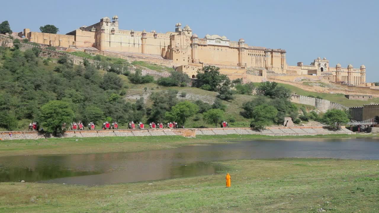 Elephants taking tourists to Amber Fort near Jaipur, Rajasthan, India, Asia