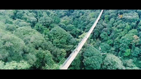 The Beauty of Situ Gunung Suspension Bridge