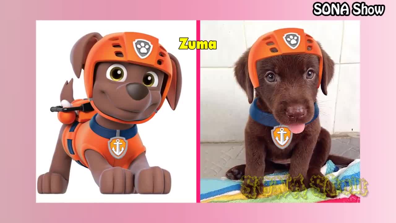 Dogs Cartoon IN REAL LIFE 💥 All Characters 👉