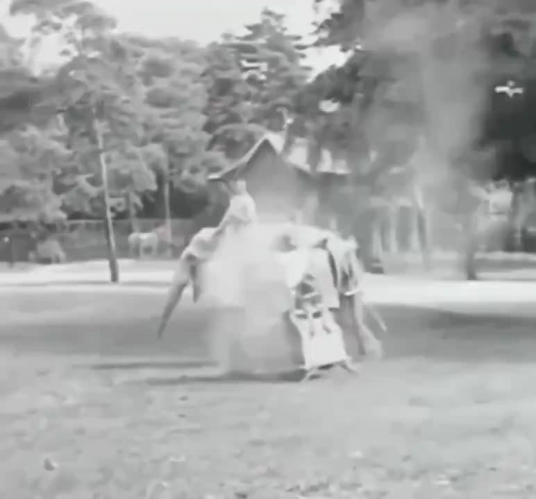 1932 and exhibited at Le Jardin dAcclimatation in Paris
