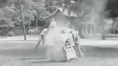 1932 and exhibited at Le Jardin d'Acclimatation in Paris