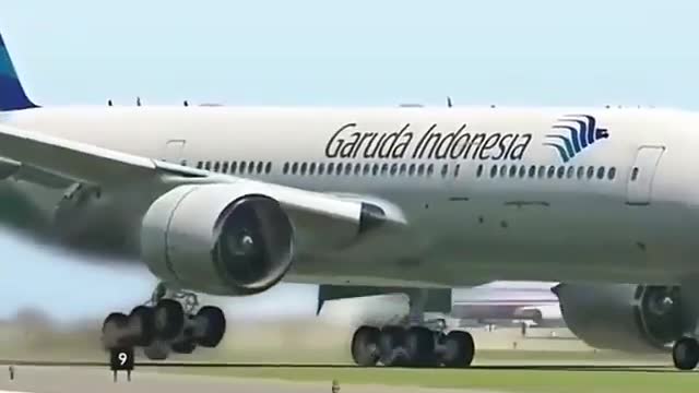 Indonesian Aero plane accidentally landing