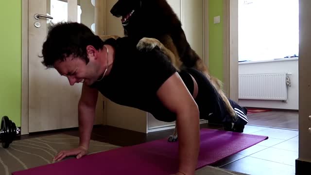 Dog Helps His Owner With Quarantine Workout