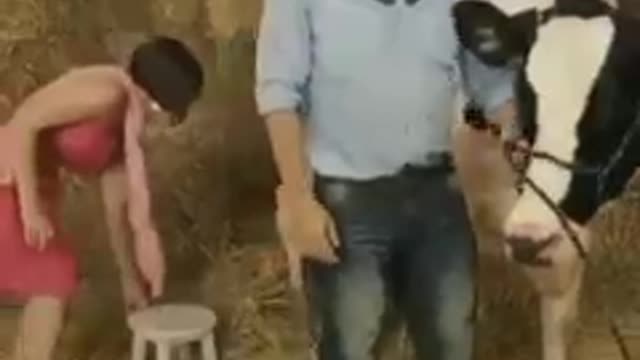 Leite ou hambúrguer?